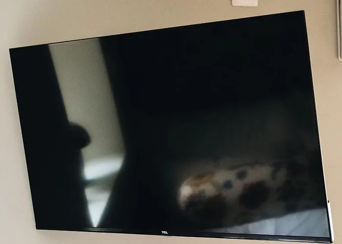 The 1880 Authentic Dream I 500m To Bryggen